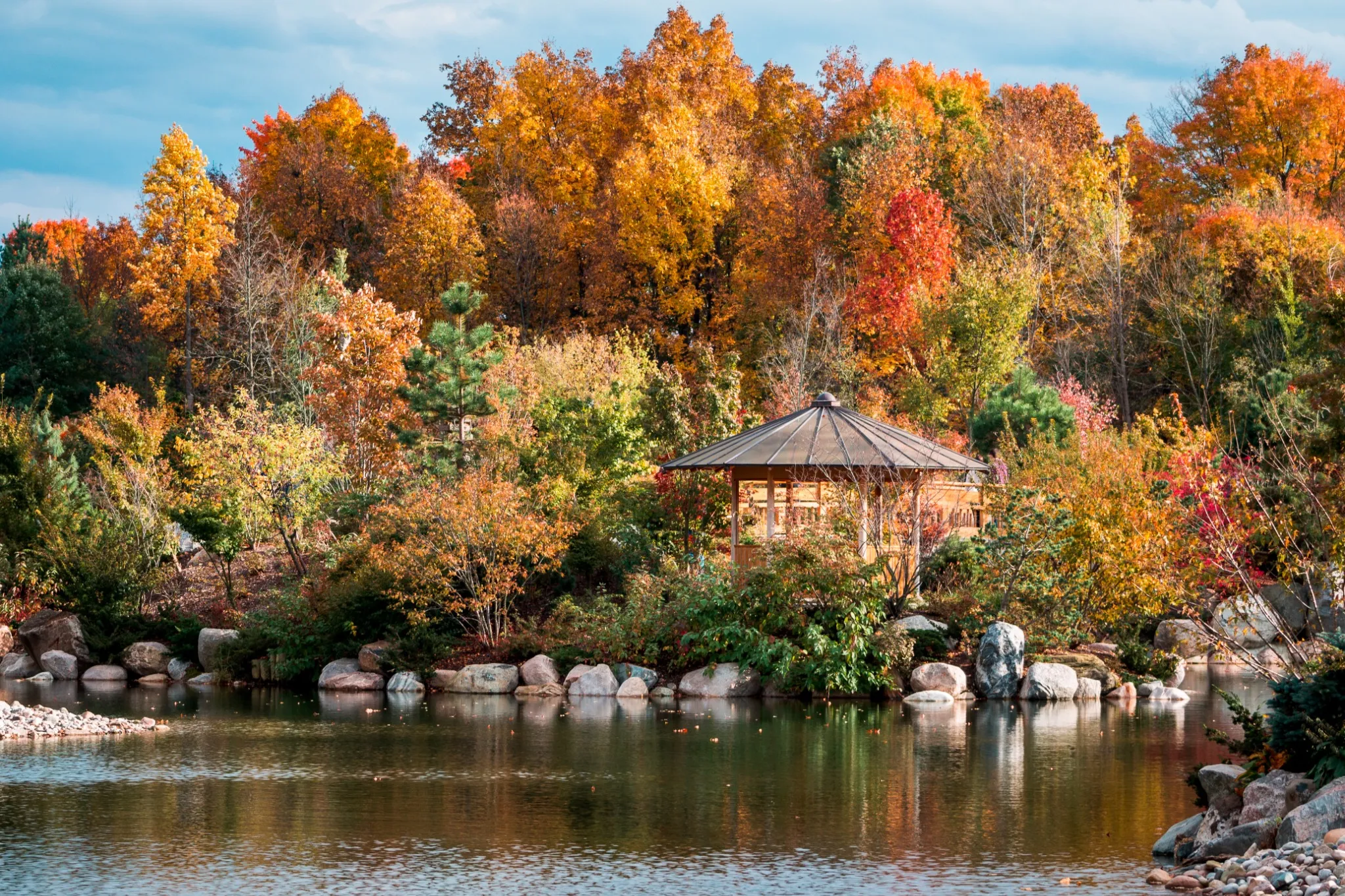 Landscape shot of the japanese gardens in the fall at the Frederik Meijer Gardens.