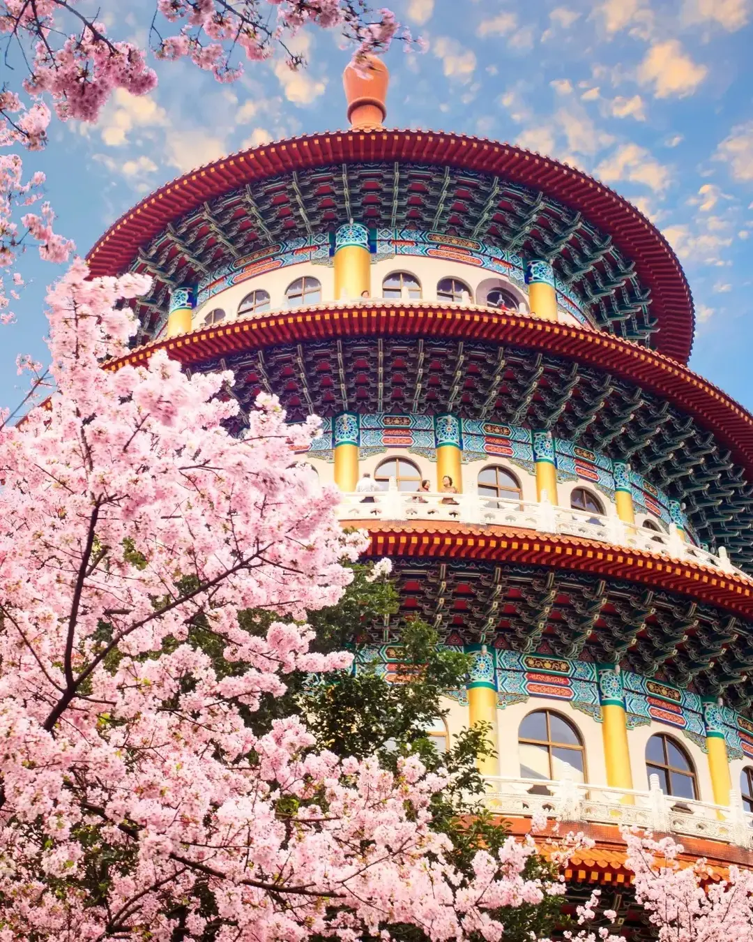 beautiflu sakura garden with nice sky in Taipei, Taiwan