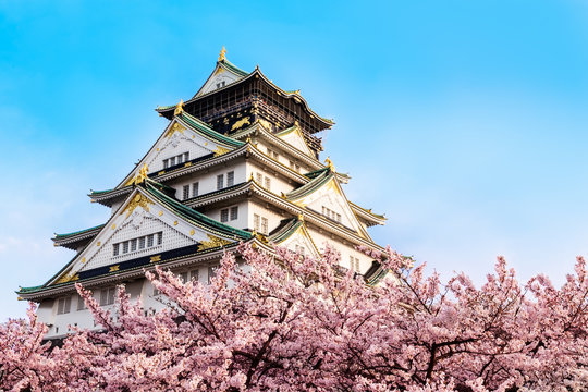 Osaka Castle with Cherry Blossoms