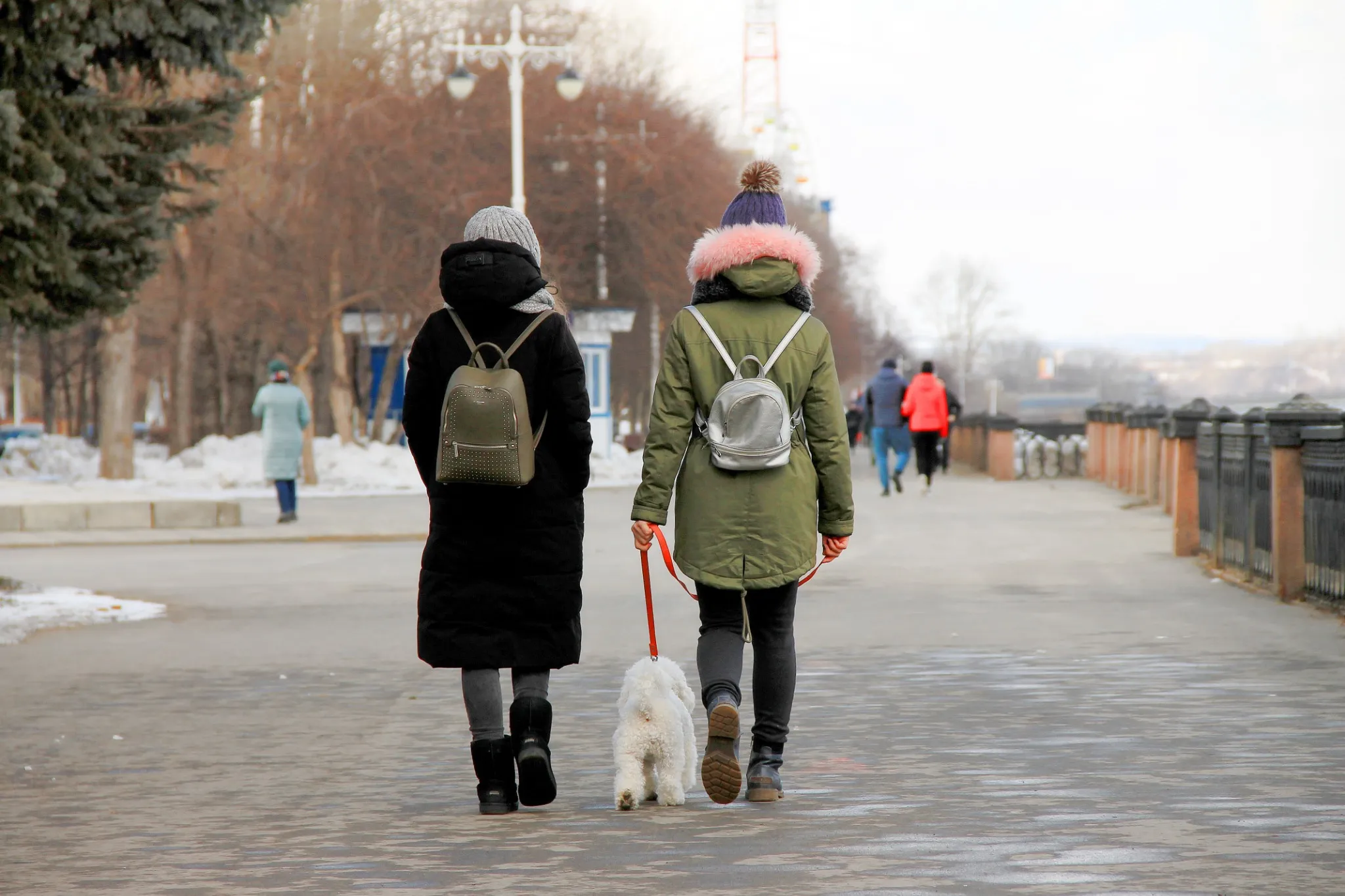 two young girls walking on the street with a dog dressing on the back backpacks