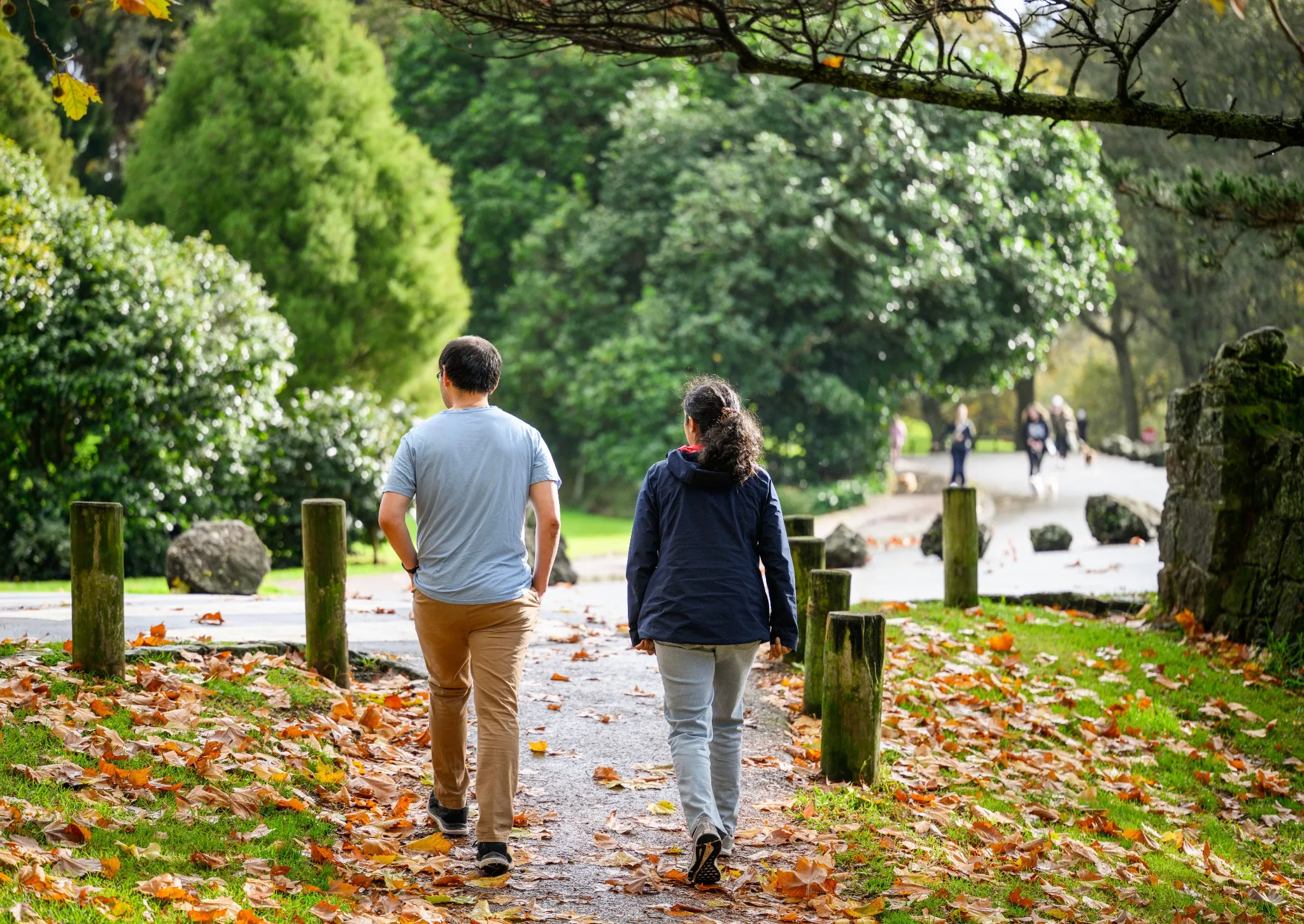 Couple walking among golden autumn trees. Unrecognizable people walking the dogs in the park. Auckland.
