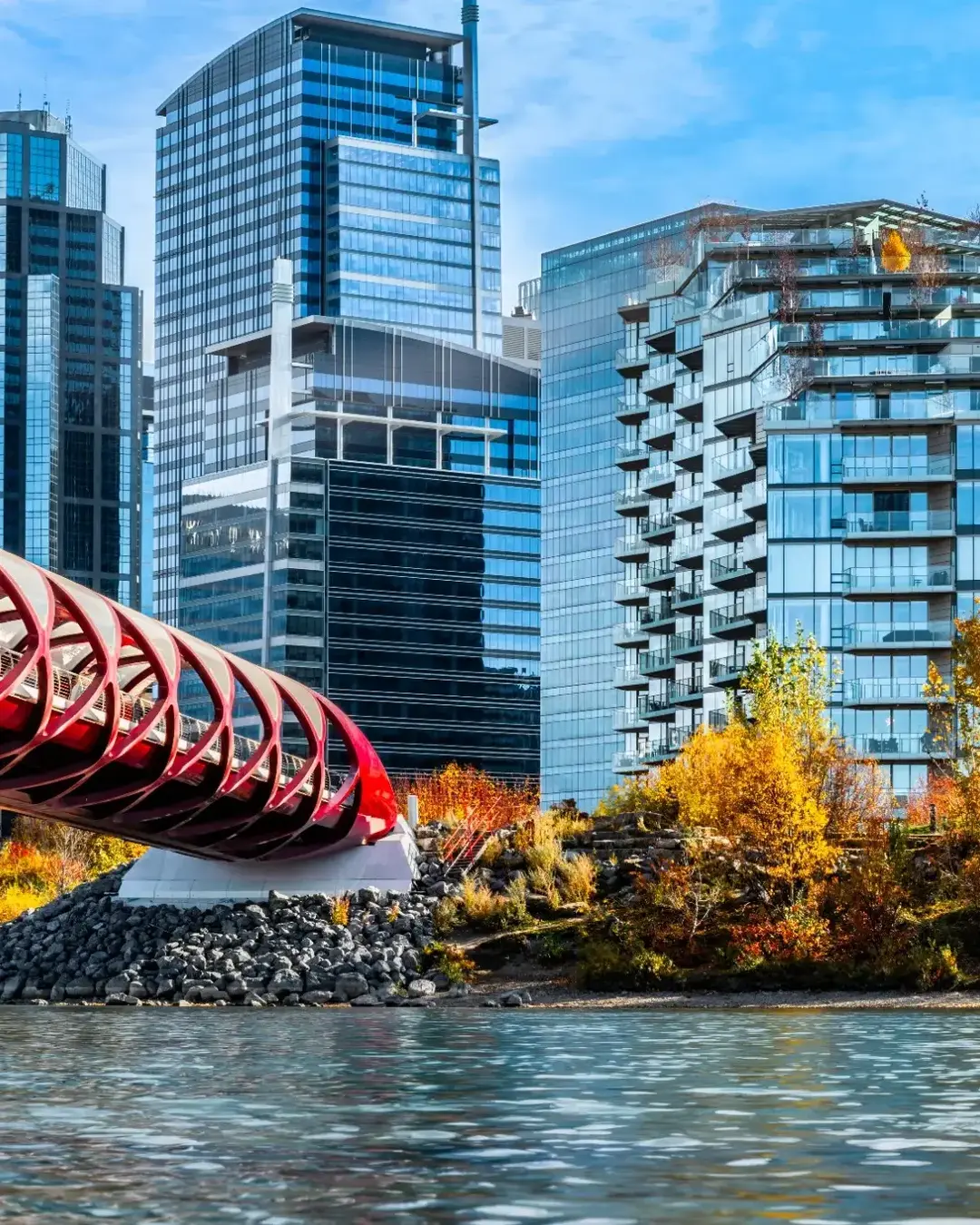 Peace Bridge over the Bow River in Calgary downtown in the fall