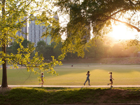 Morning Runs in Piedmont Park