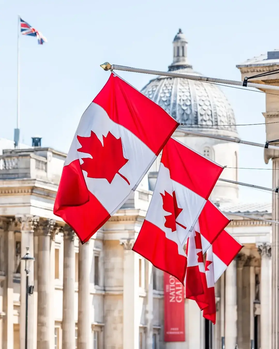 Canada flags and capitol