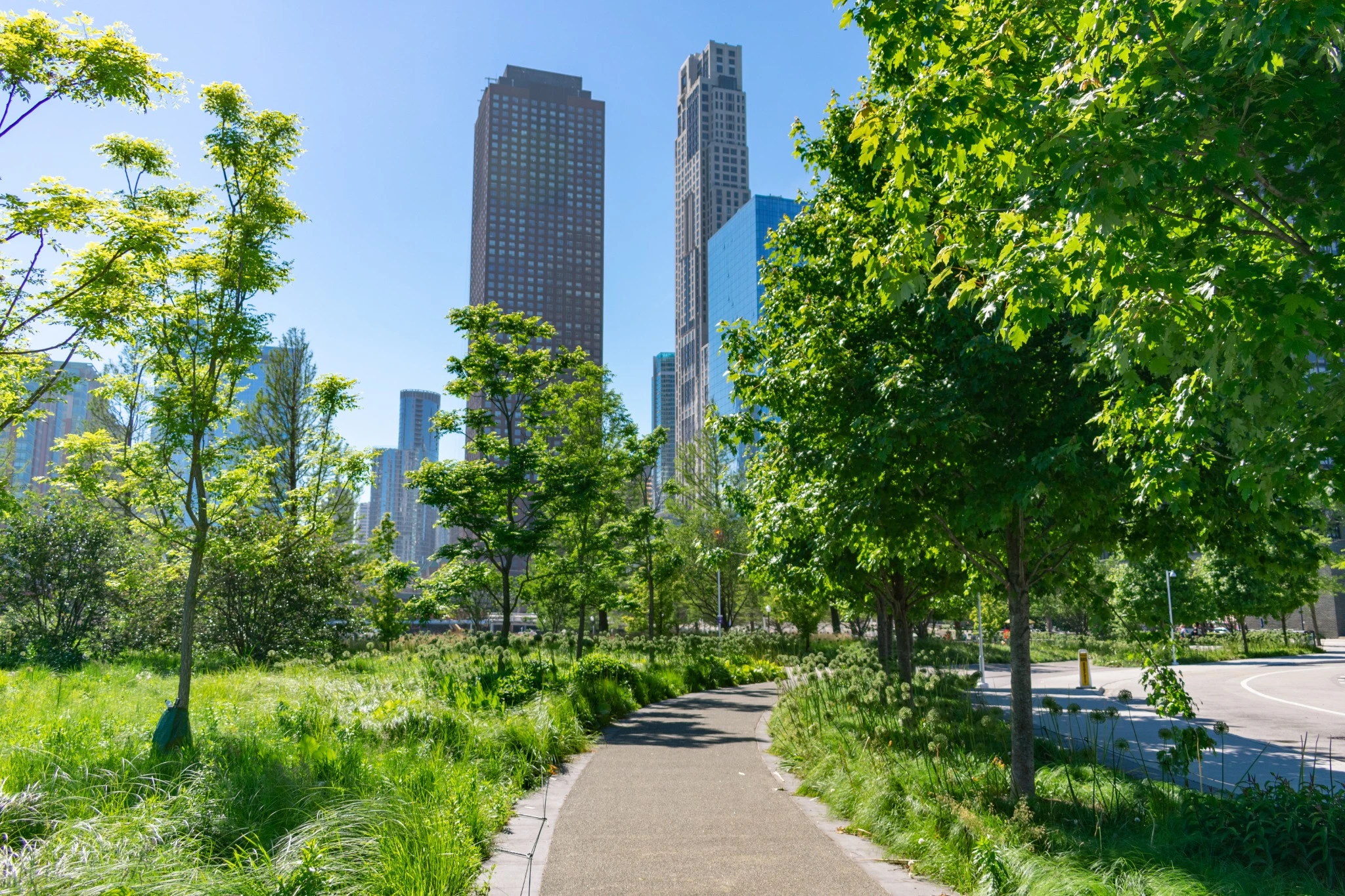 Green Curving Path at a Park in the Streeterville Neighborhood of Chicago with Downtown Buildings