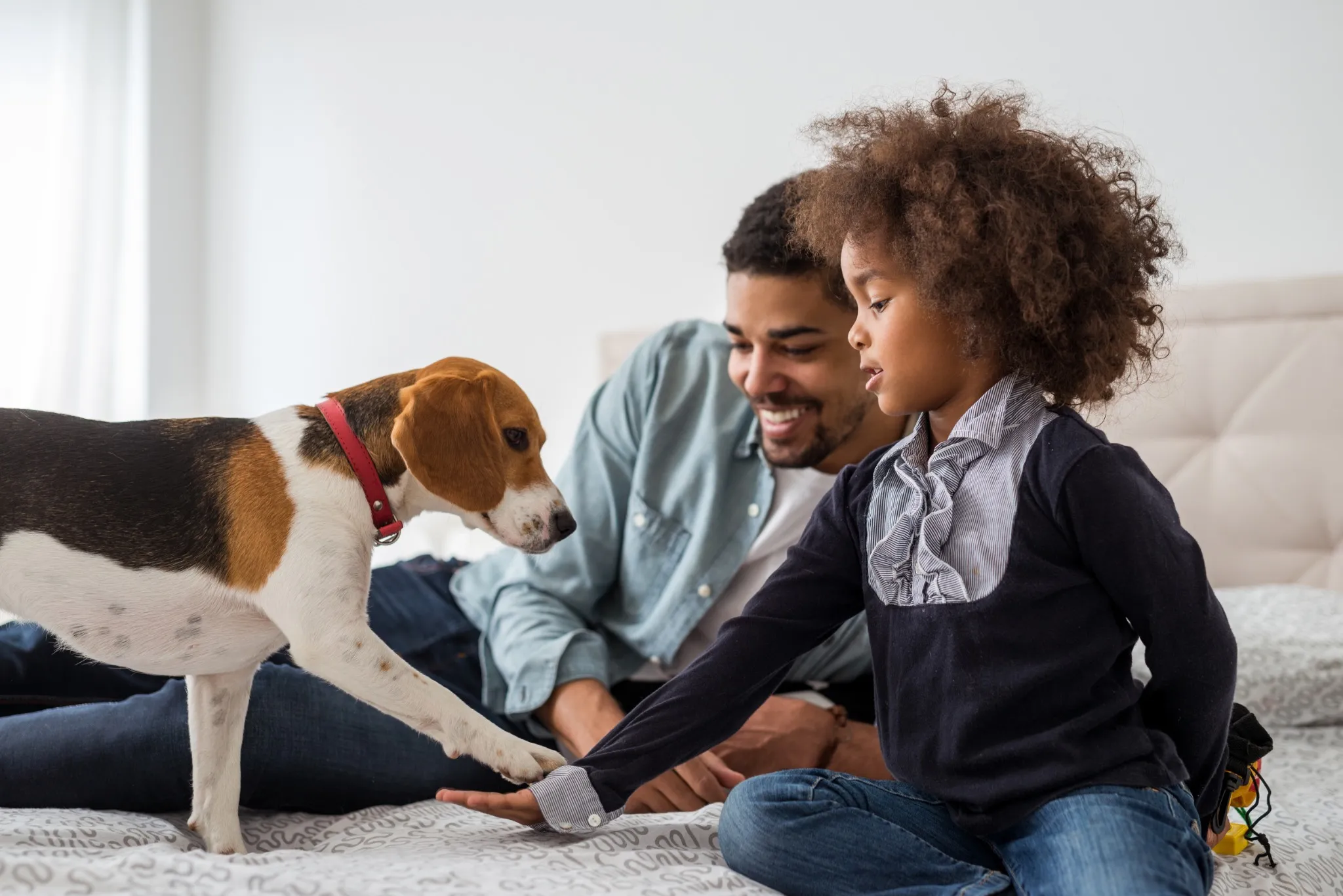 Dad playing with kid and dog on the bed