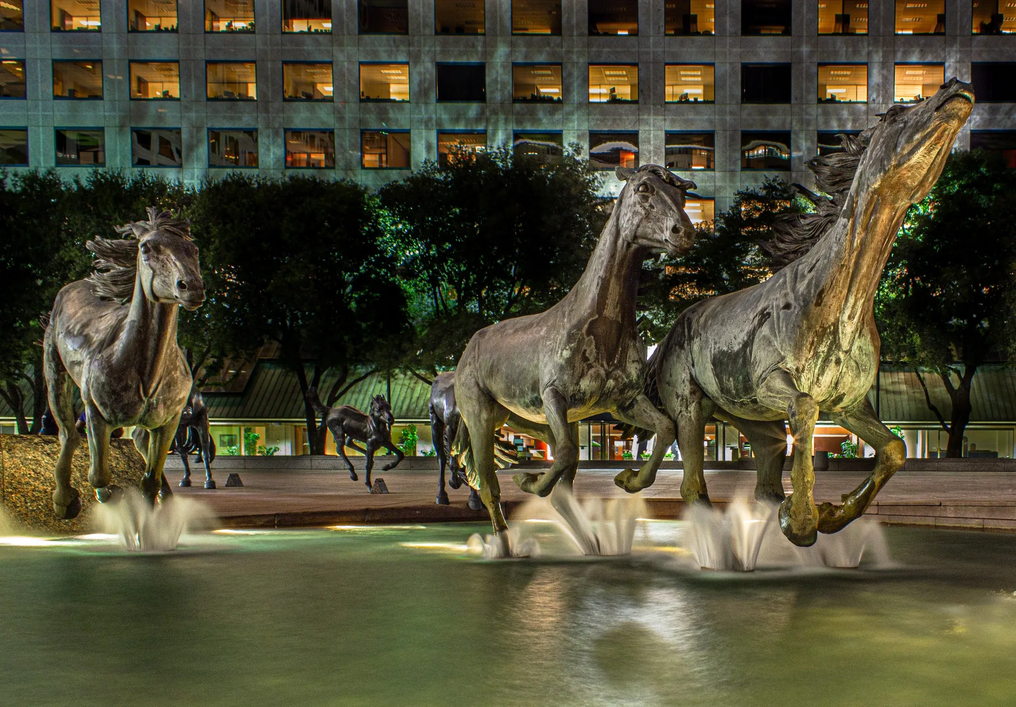 Mustangs at Las Colinas