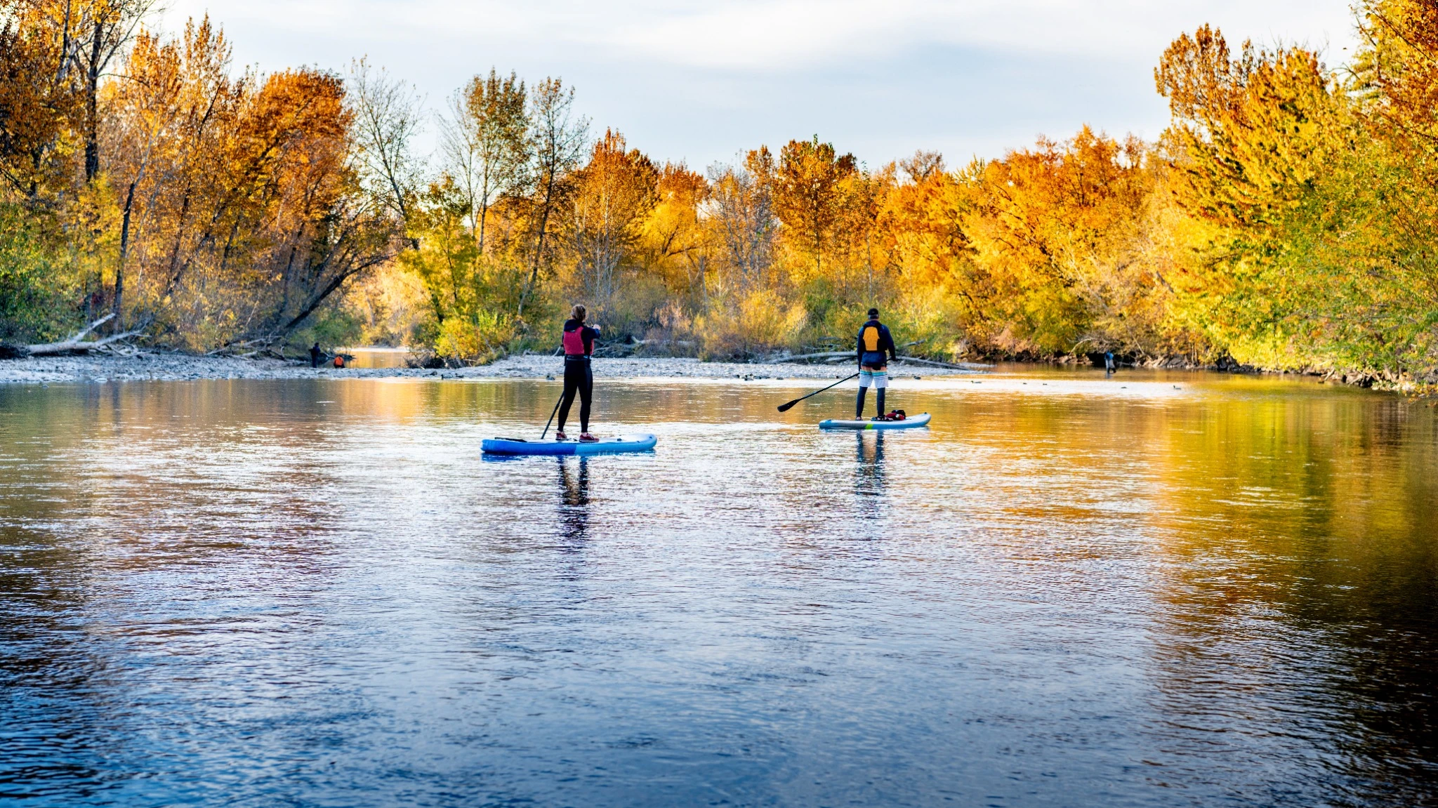 People use paddle boards to get down the Boise River in autumn