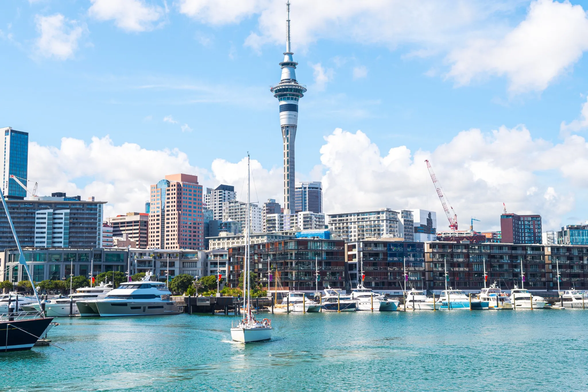 views of auckland harbour and skyline at background