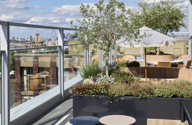 Bloom Apartment - Rooftop Terrace